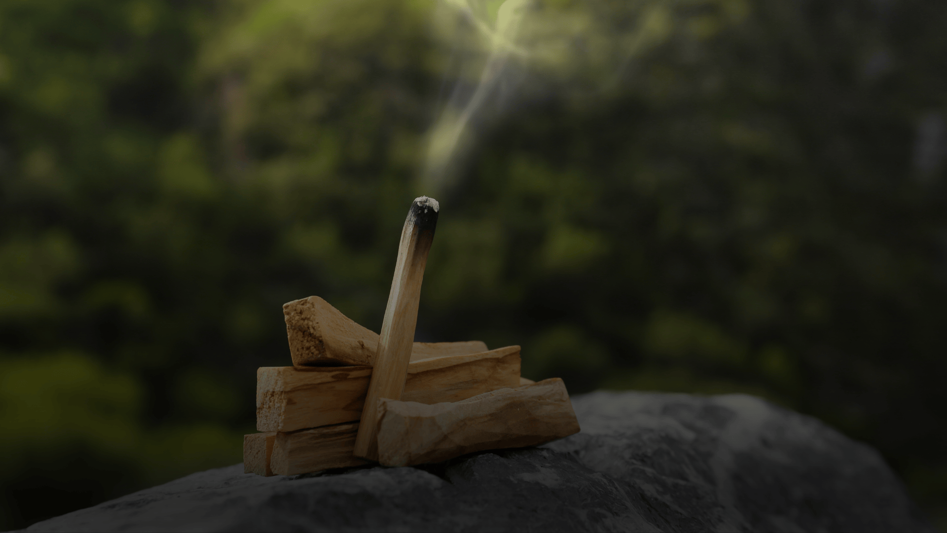Palo Santo: usos espirituais, benefícios e como usar com consciência